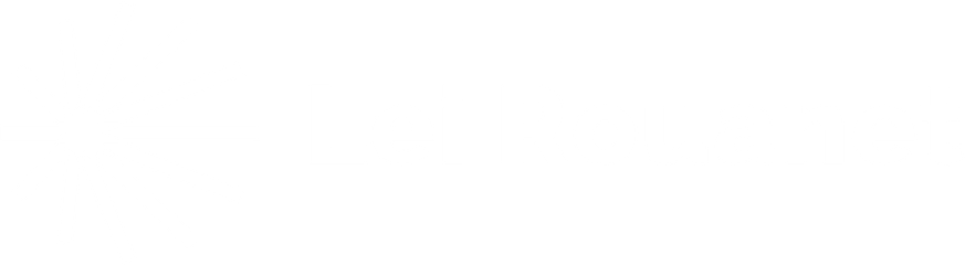 Lei Rouanet